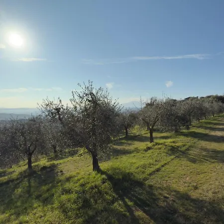 La Bella Vista Holiday home Castelmuzio