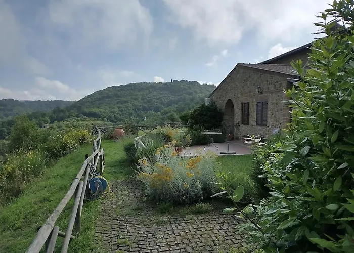 La Bella Vista *